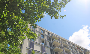 Komfortable Liegenschaft