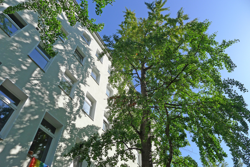 Ansicht Straßenseite