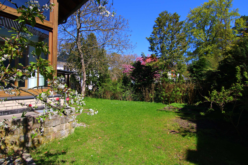 Blick in den Garten