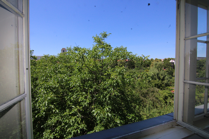 Blick aus dem Wintergarten