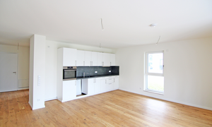 Großes Wohnzimmer/offene Küche
