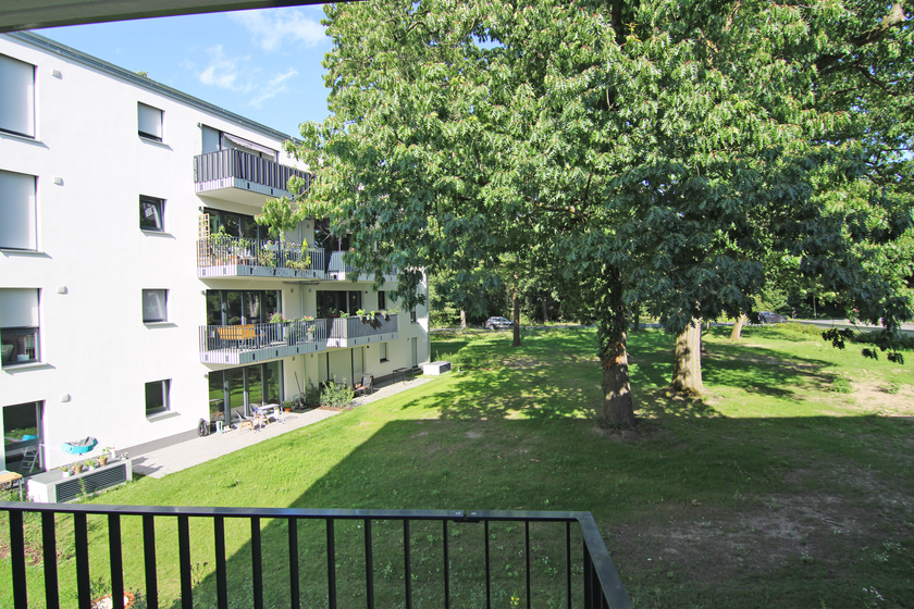 Toller Grünblick!